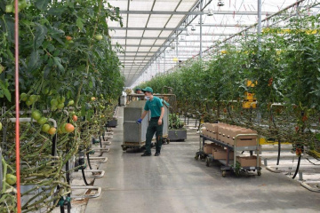  Более 750 проектов на 38,3 млрд тенге профинансированы в рамках программы «Almaty Business – 2025»