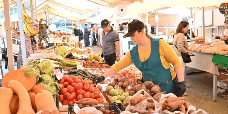 Социальные павильоны